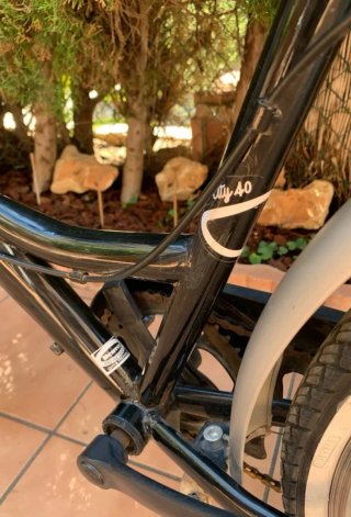 Bicicleta Paseo Señora Negra