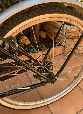 Bicicleta Paseo Señora Negra