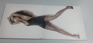 Vinilo Tina Turner Foreign Affair