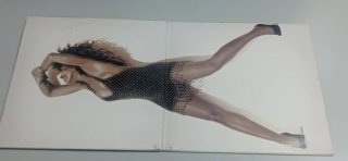 Vinilo Tina Turner Foreign Affair