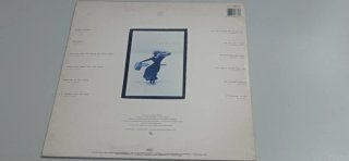 Vinilo Tina Turner Foreign Affair