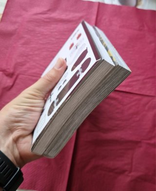 Pack 2 mangas variados