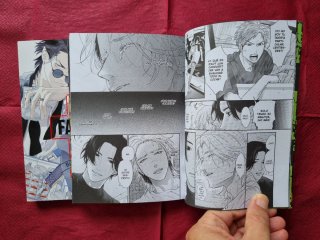 Pack 2 mangas variados