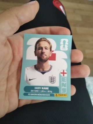 Figura Panini Mundial