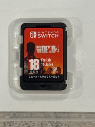 Into The Dead 2 Nintendo Switch PAL ESP