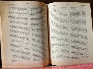 Dizionario Italiano-Ceco / ceco-italiano