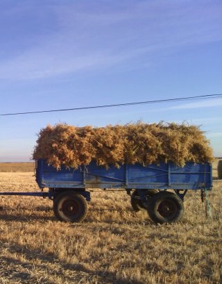 Remolque agrícola azul