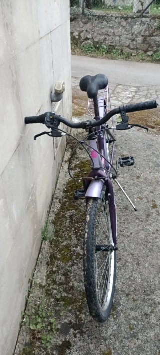 Bicicleta 24" niñ@ color morado