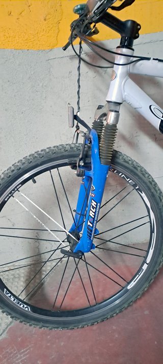 Orbea Master MTB