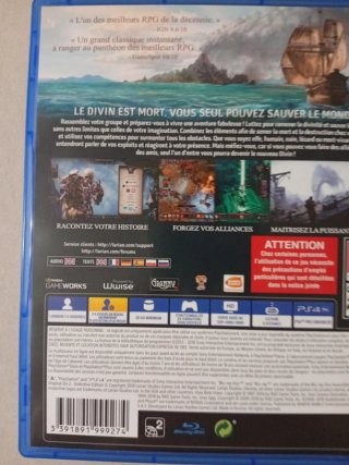 Divinity II Original Sin PS4 RPG
