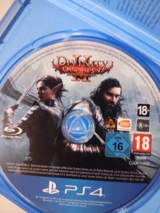 Divinity II Original Sin PS4 RPG