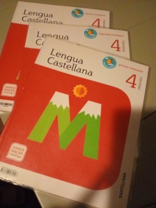 Lengua castellana 4 Primaria