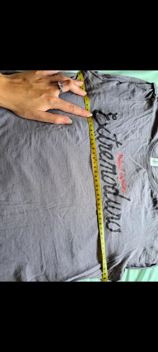 Camiseta Extremoduro Mujer Gris