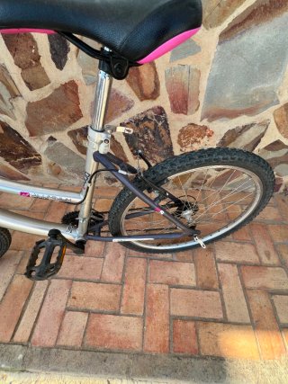 Bicicleta Montaña Morada y Plateada