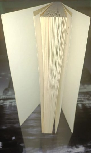 Libro Guía Para Un Envejecimiento Satisfecho