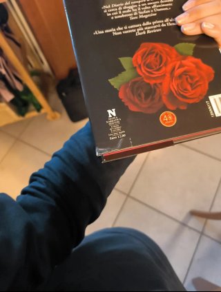 Libro Il diario del Vampiro