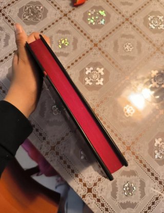 Libro Il diario del Vampiro