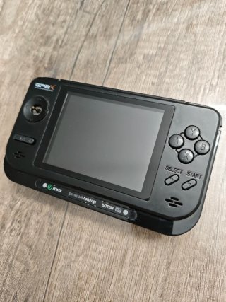 GP2X F100