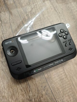 GP2X F100