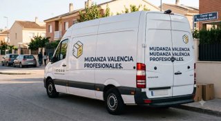 Mudanza profesional