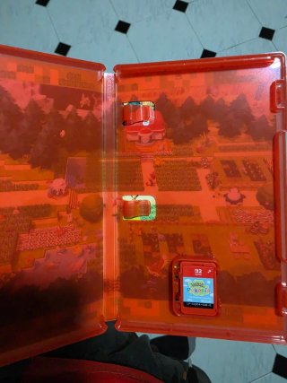 Nintendo Switch Pokémon Pokopia Juego