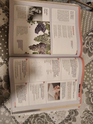 Seqüències. Llengua catalana i literatura 4 ESO