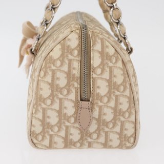 Christian Dior Trotter Canvas Romantic Hand Bag