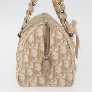 Christian Dior Trotter Canvas Romantic Hand Bag