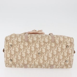 Christian Dior Trotter Canvas Romantic Hand Bag