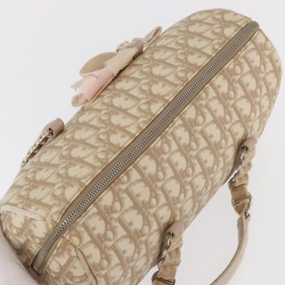 Christian Dior Trotter Canvas Romantic Hand Bag