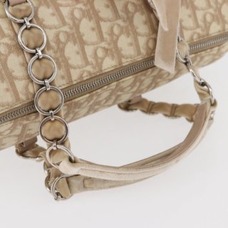 Christian Dior Trotter Canvas Romantic Hand Bag