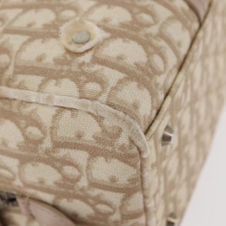 Christian Dior Trotter Canvas Romantic Hand Bag