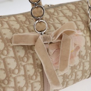 Christian Dior Trotter Canvas Romantic Hand Bag