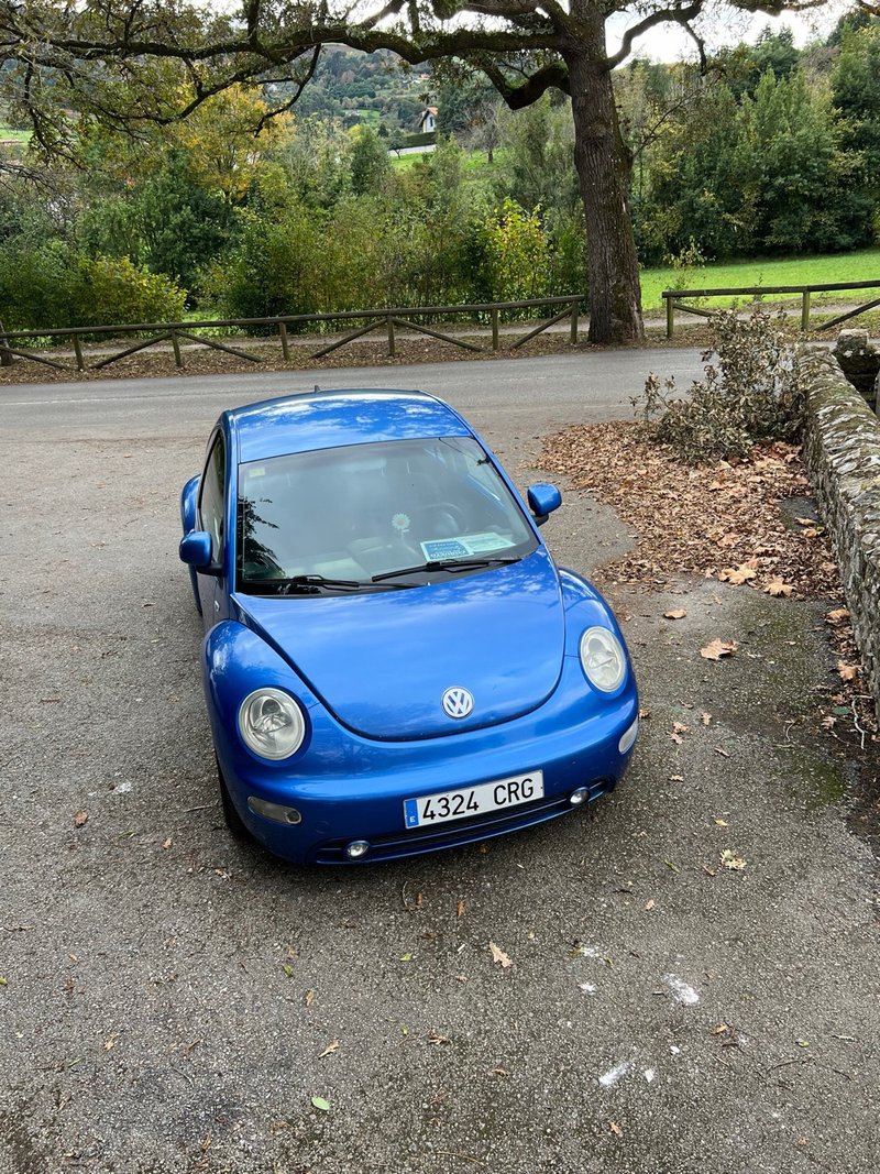 Volkswagen Beetle 2002 - foto 1