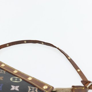 LOUIS VUITTON Multicolor Pochette Accessoires