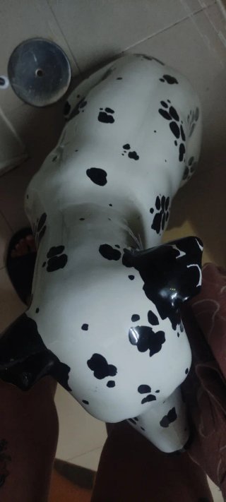 Perro Dálmata Porcelana Italia Años 70