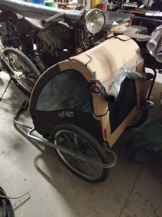 Carro para bicicleta para 2 niños