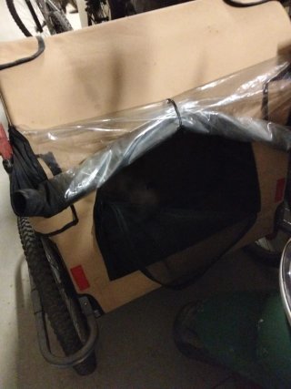 Carro para bicicleta para 2 niños