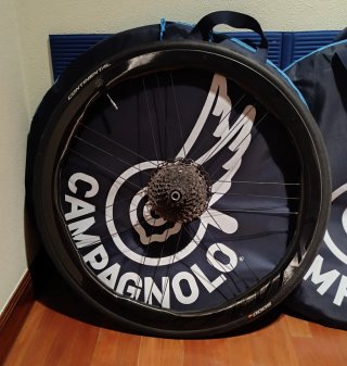 Ruedas Campagnolo Shamal Carbono