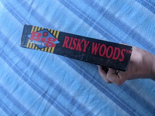 Risky Woods Big Box PC Electronic Arts