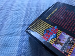 Risky Woods Big Box PC Electronic Arts