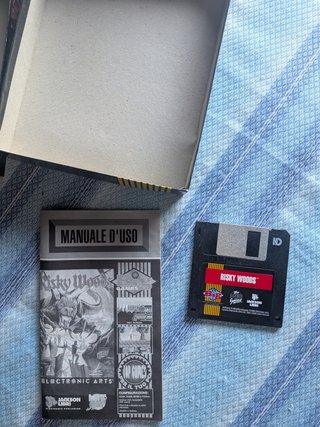 Risky Woods Big Box PC Electronic Arts
