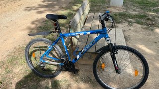 Bicicleta Alpinestars CSR600