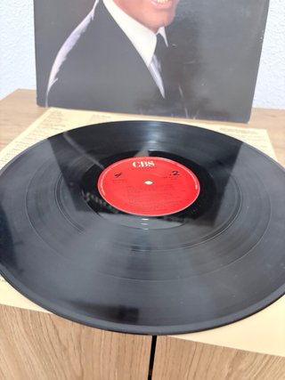 Vinilo Julio Iglesias Raíces