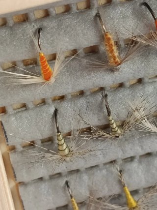 146 Moscas Ahogadas para Pesca