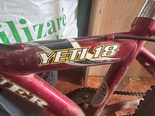 Bicicleta Infantil YETI 18