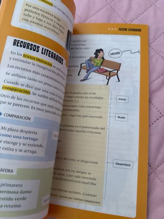 Lengua castellana y literatura 3 Saberes básico...