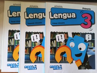 Lengua Anaya 3