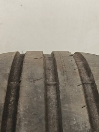 NEUMATICO 19555R1687V