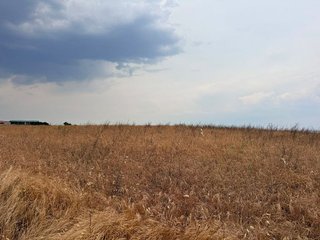 Terreno en venta en Molar (El)